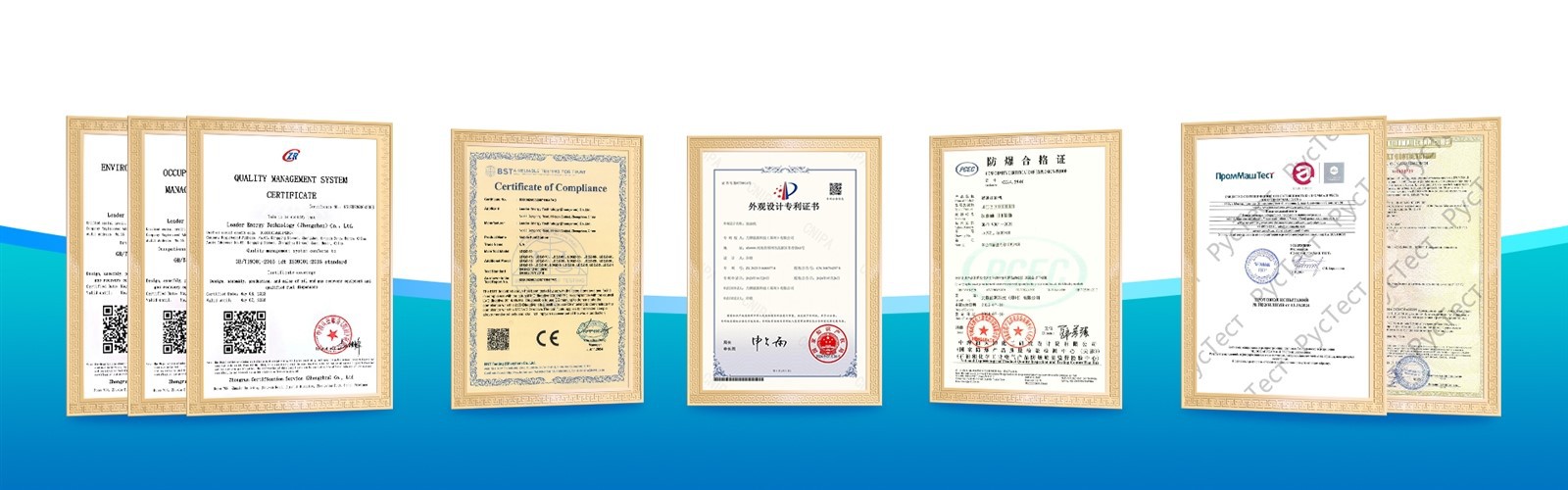 Leader Energy Certificate Leader Energy Certificate